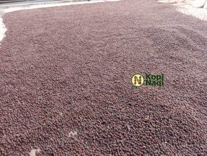 Dry Process Kopi