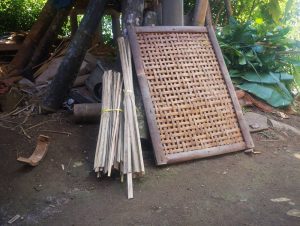 rigen bambu
