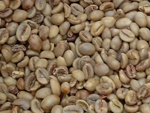 5 Hal yang Perlu Dipahami Pembeli Green Bean Coffee