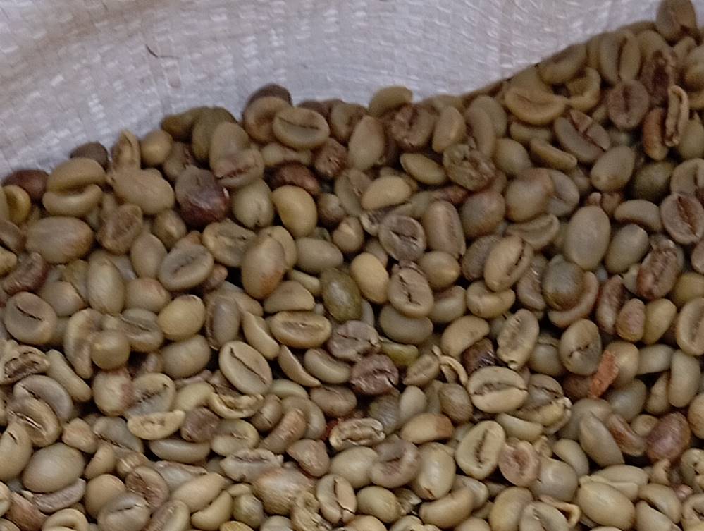 Analisis Nilai Tambah Usaha Pengolahan Kopi Green Beans dan Kopi Bubuk